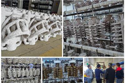 Quality with OLYM CASTING: Your Trusted Partner in Investment Casting